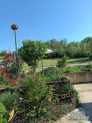 image_14