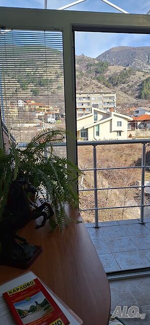 image_7