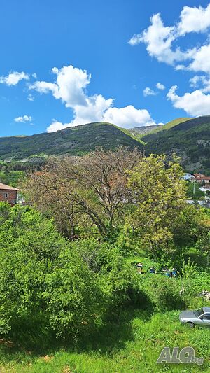 image_33