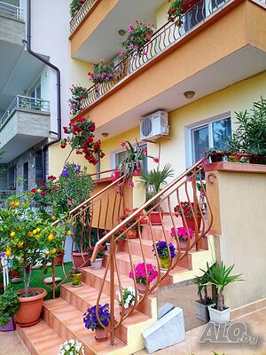 image_8