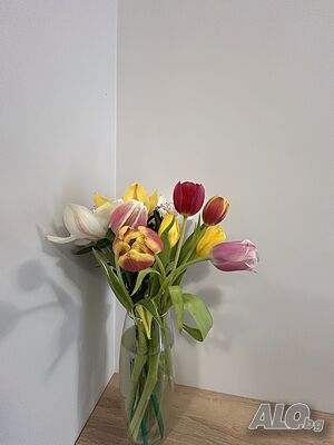 image_13