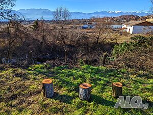 image_21