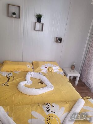 image_11