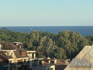 image_37