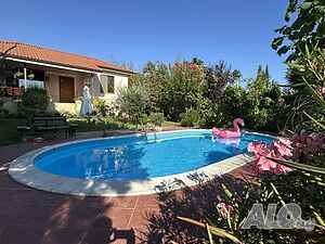 image_51
