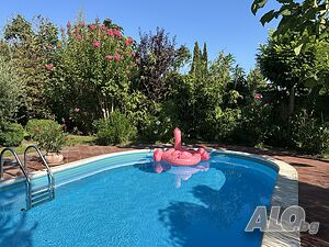 image_53