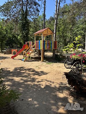 image_31
