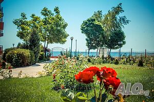 image_16