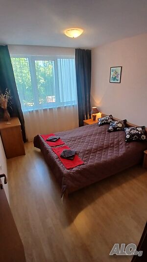 image_38