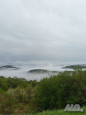 image_17