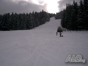 image_8