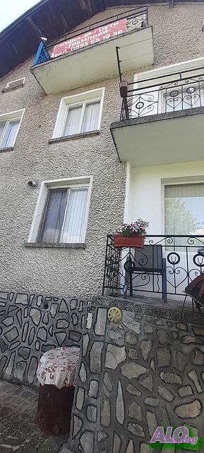 image_11