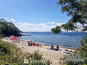 image_15