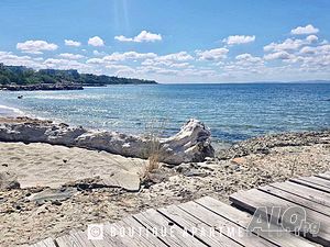 image_16