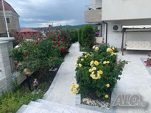 image_18