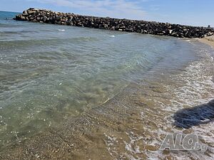 image_23