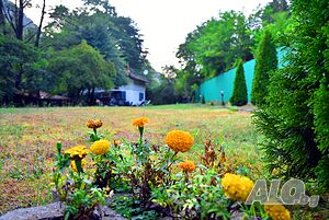 image_22