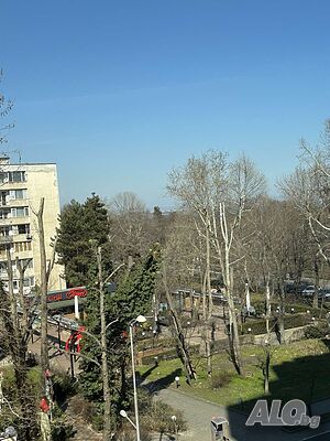 image_18