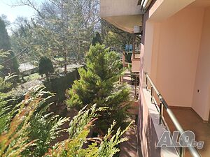 image_7