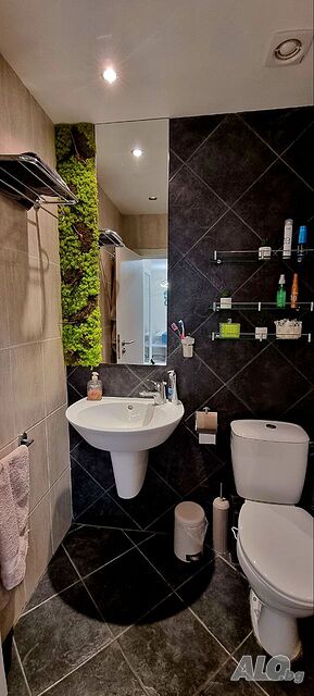 image_6