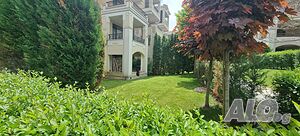 image_4