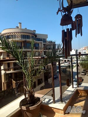 image_6