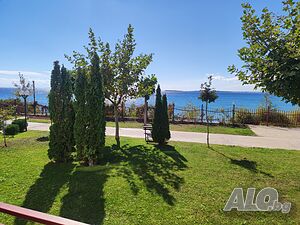 image_8