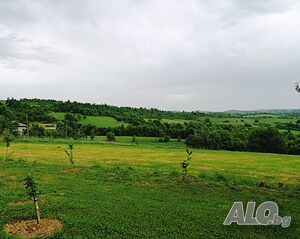 image_4