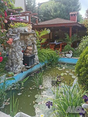 image_14