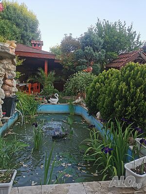 image_15