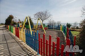 image_34