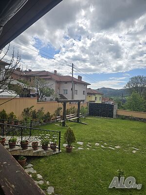 image_6