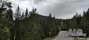 image_40