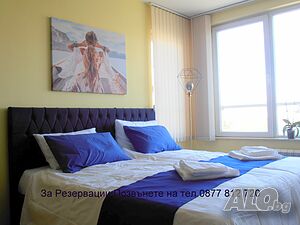 нощувки Студио синя Орхидея за кратко/средносрочен престои