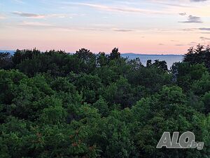 image_21