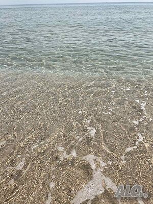 image_22