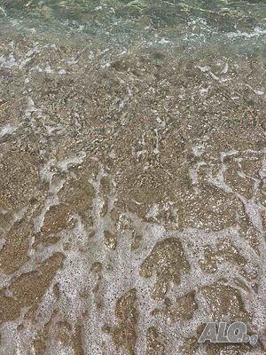 image_23