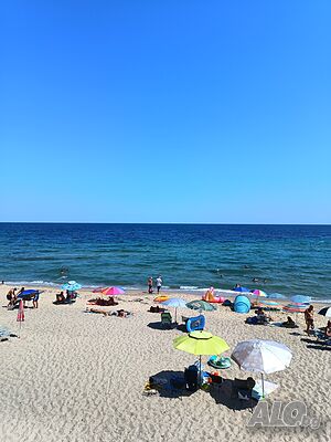 image_46