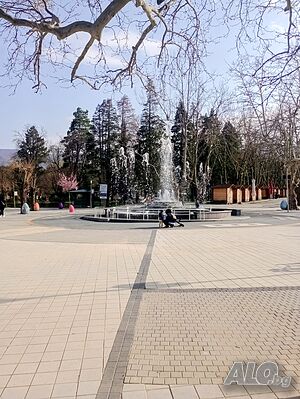 Стая под наем Стаи за гости в Спа-курорт Вършец