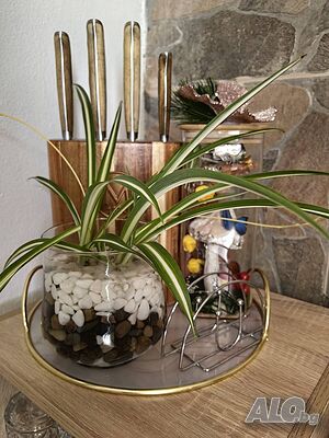 image_33