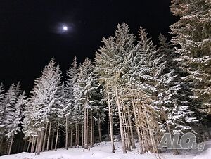 image_20