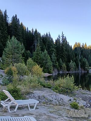 image_22