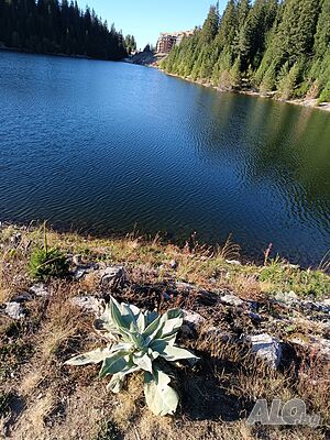 image_23