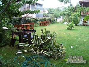 image_10
