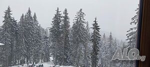 image_16