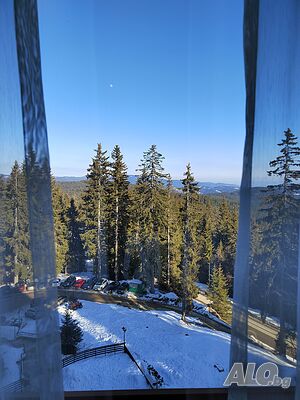 image_17