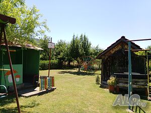 image_6
