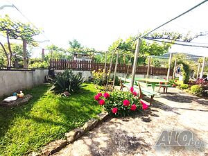 image_19