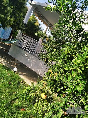 image_23