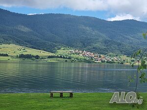 image_22